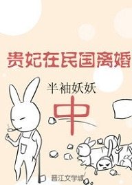 貴妃在民國離婚中